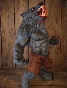 Zubehör wie Display-Boxen und Ständer